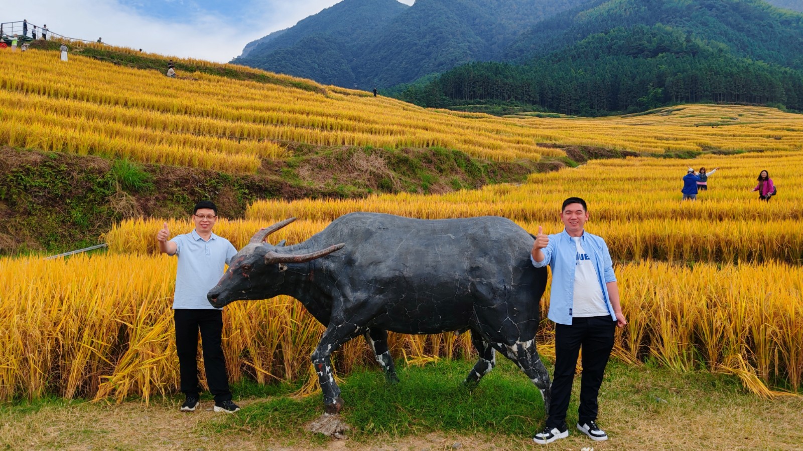 1730106296619818.jpg 微信图片_20241028163616.jpg